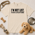 123 I'm not lost Just a little off course