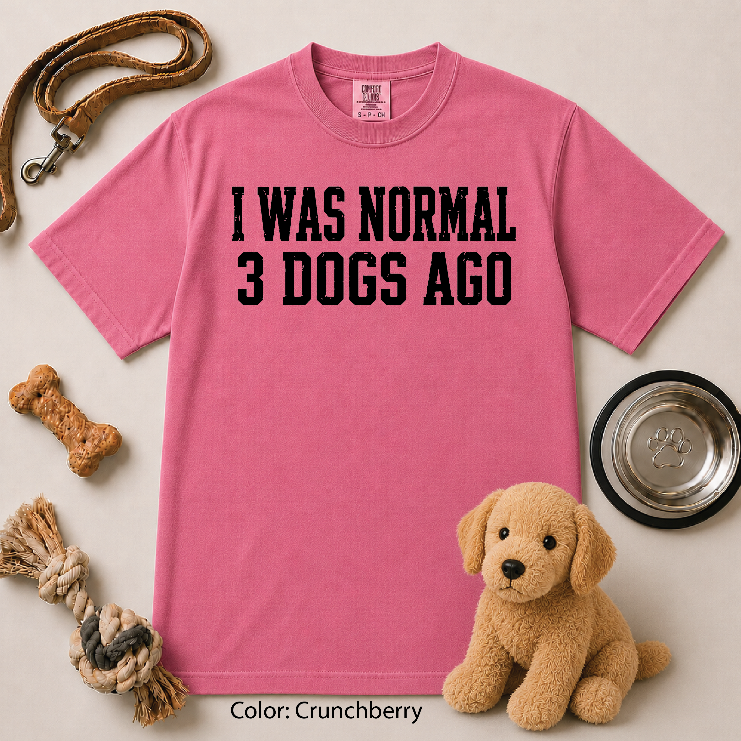 125 I Was Normal 3 Dogs Ago/Fun