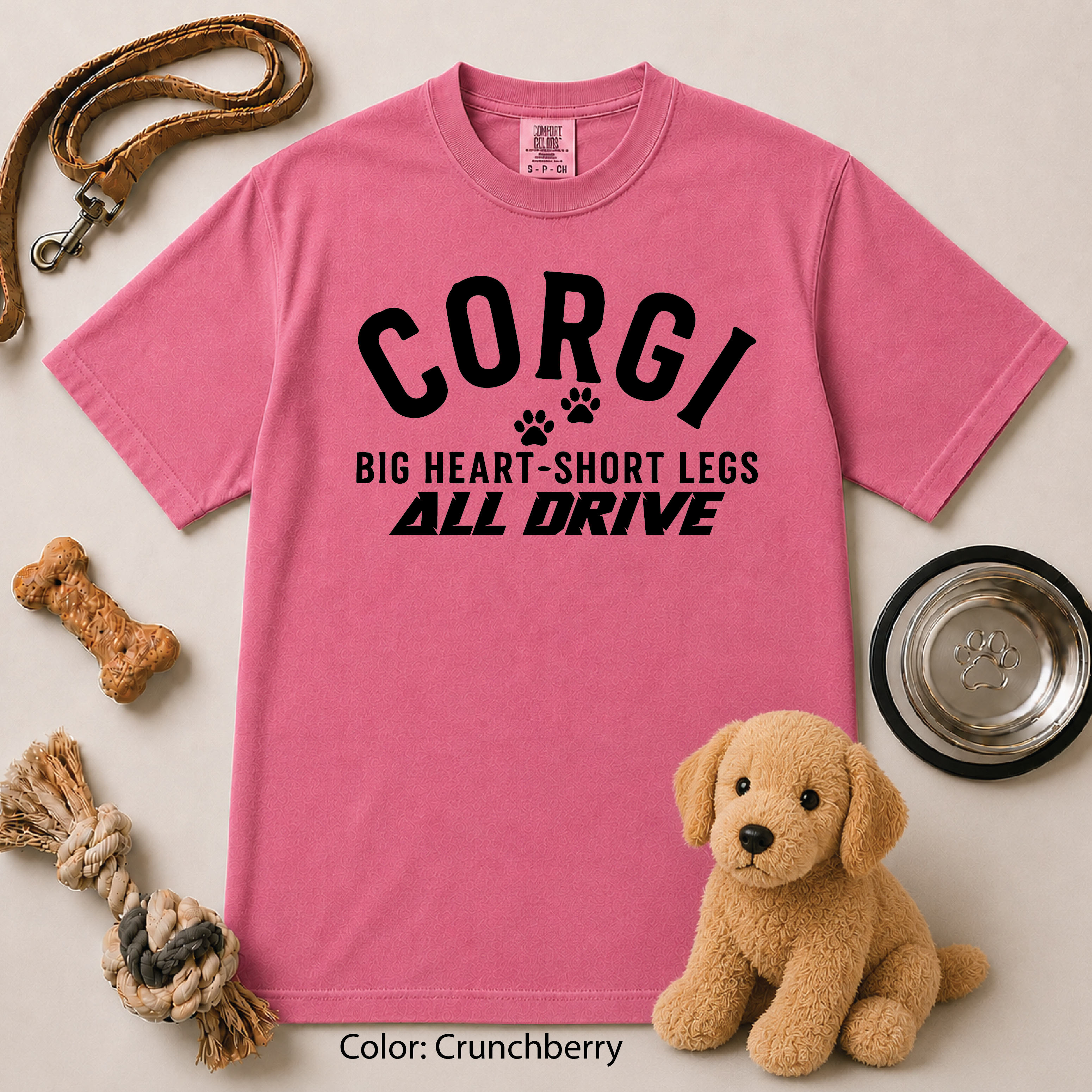 127 Corgi Big Heart Short Legs ALL DRIVE
