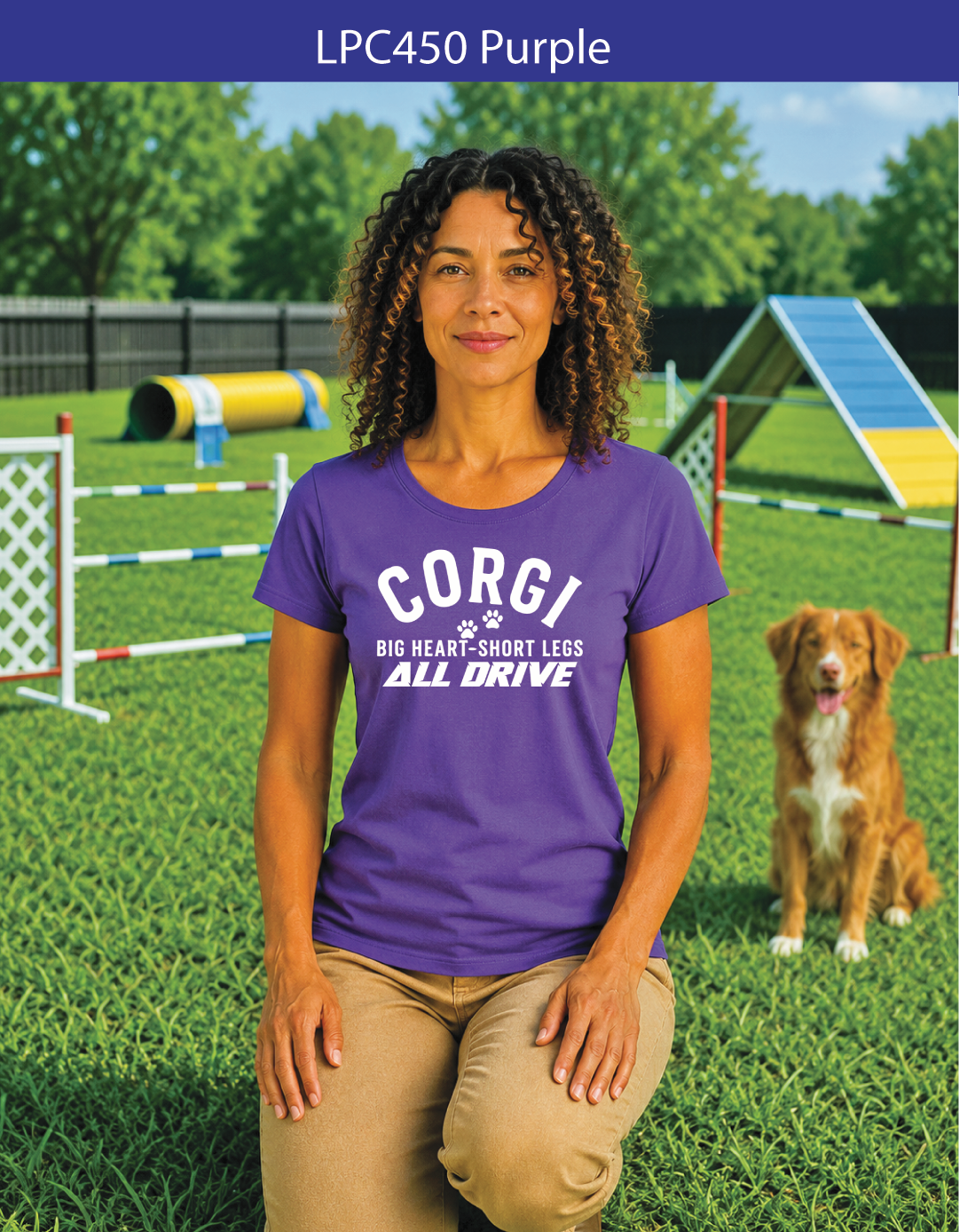 227W Corgi Big Heart All Drive