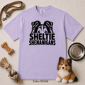132 Sheltie Shenanigans