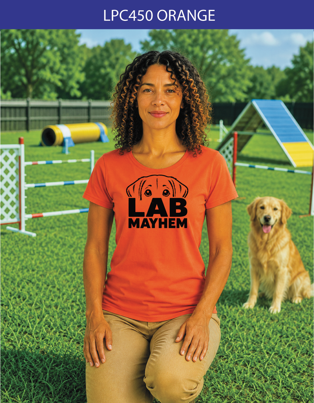 233W Lab Mayhem