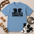 135 Border Collie Commotion